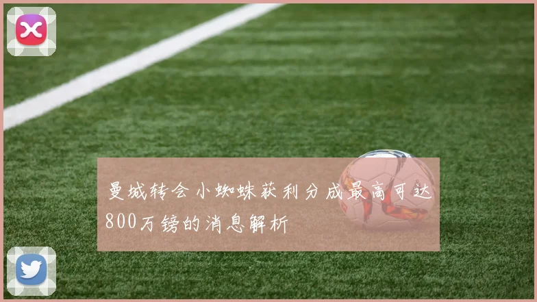 曼城转会小蜘蛛获利分成最高可达800万镑的消息解析