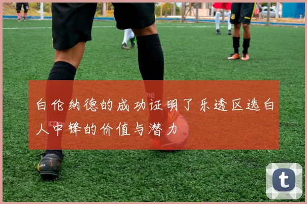 白伦纳德的成功证明了乐透区选白人中锋的价值与潜力