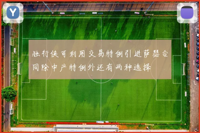 独行侠可利用交易特例引进萨瑟合同除中产特例外还有两种选择