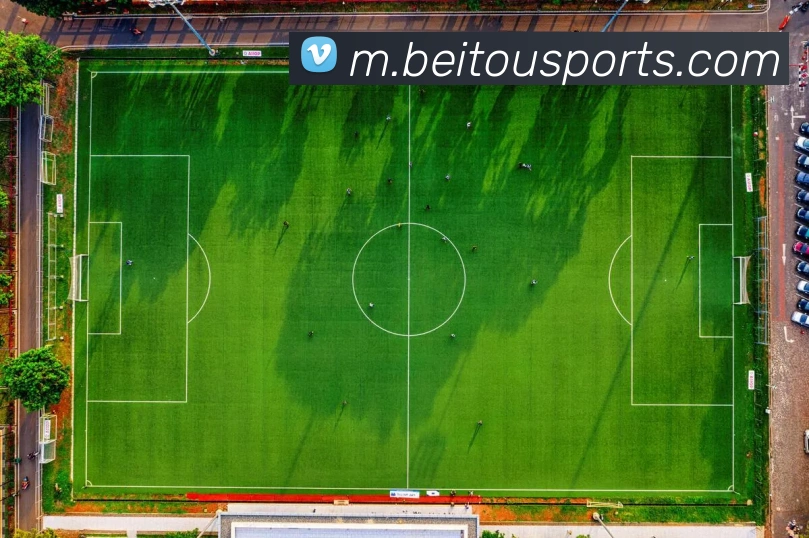 贝投体育APP 封面图